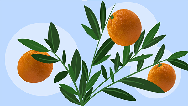crop_icon